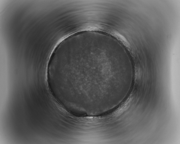 X0000094191226200710261125