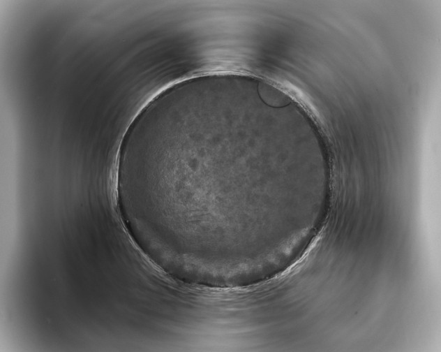 X0000094191228200710261125