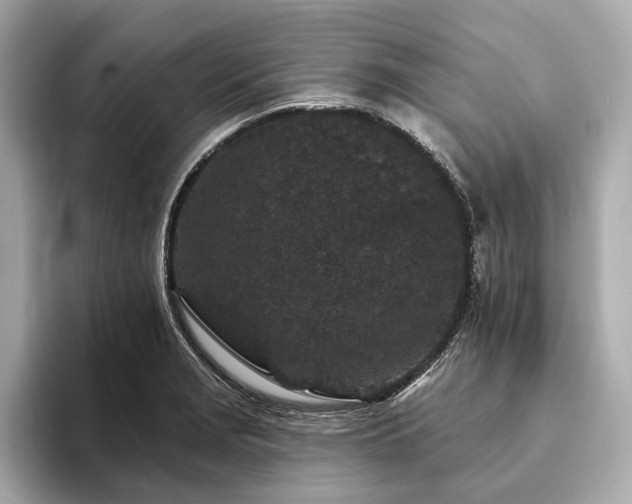 X0000094191229200710261125