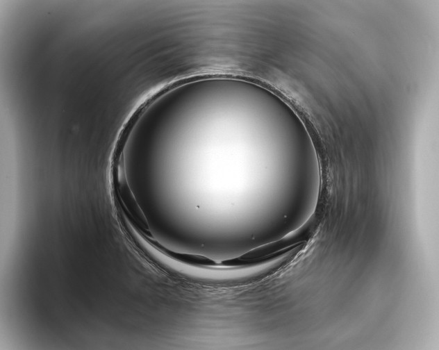 X0000094191230200710261125