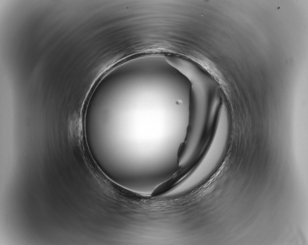 X0000094191234200710261125