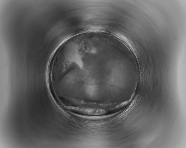 X0000094191235200710261125