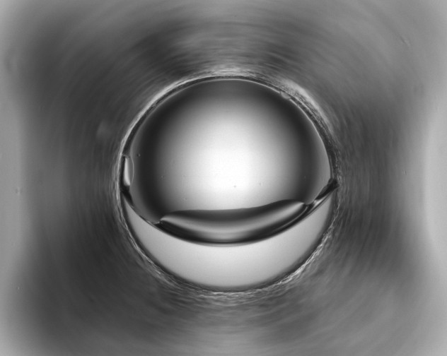 X0000094191236200710261125
