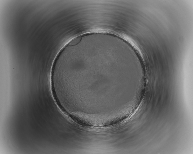 X0000094191237200710261125