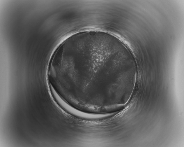 X0000094191239200710261125