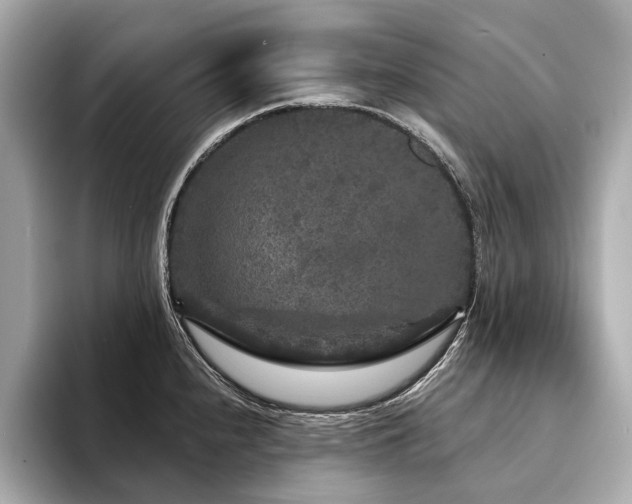 X0000094191240200710261125