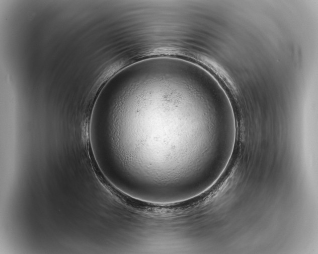X0000094191241200710261125