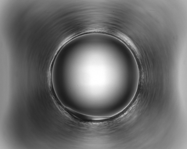 X0000094191242200710261125