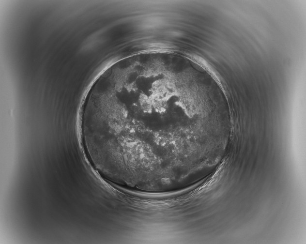 X0000094191243200710261125