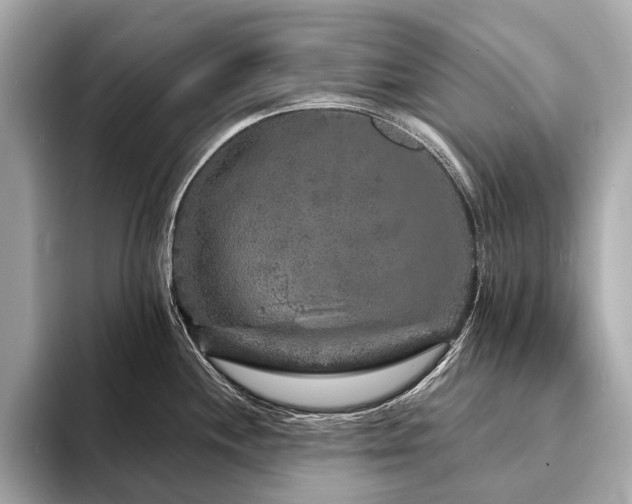X0000094191244200710261125