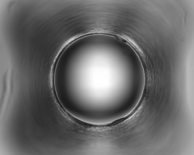 X0000094191246200710261125