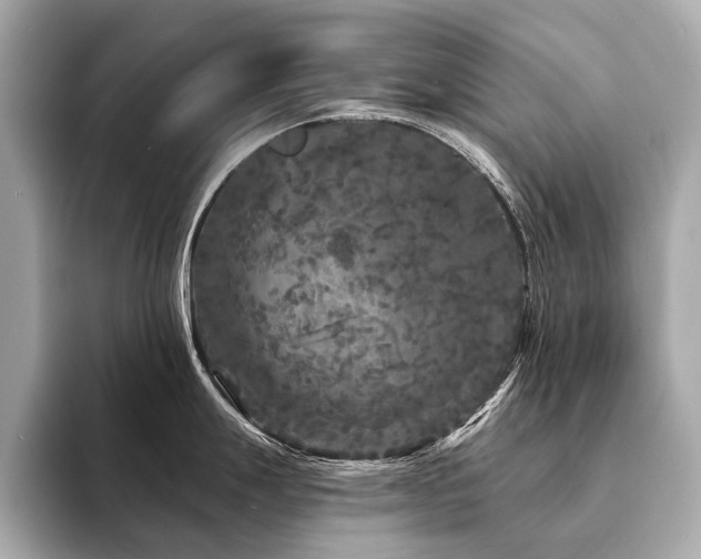 X0000094191247200710261125