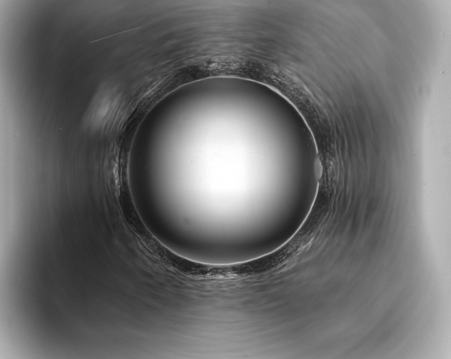 X0000094191250200710261124