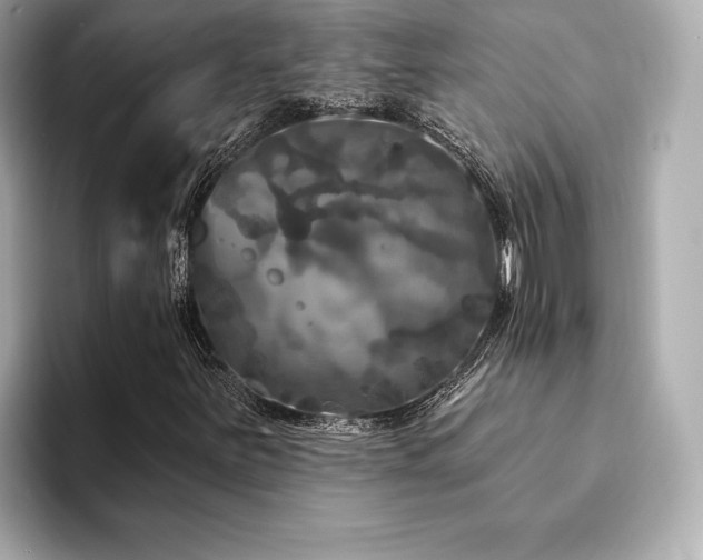 X0000094191251200710261124