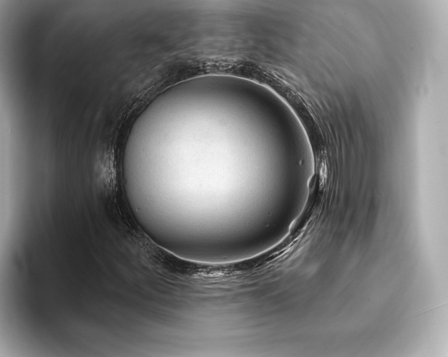 X0000094191252200710261124
