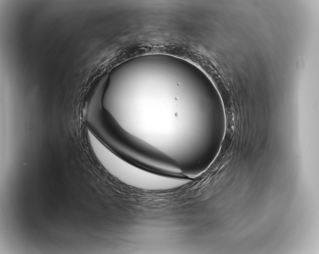 X0000094191253200710261124