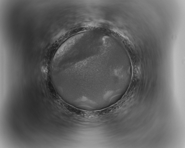 X0000094191254200710261124