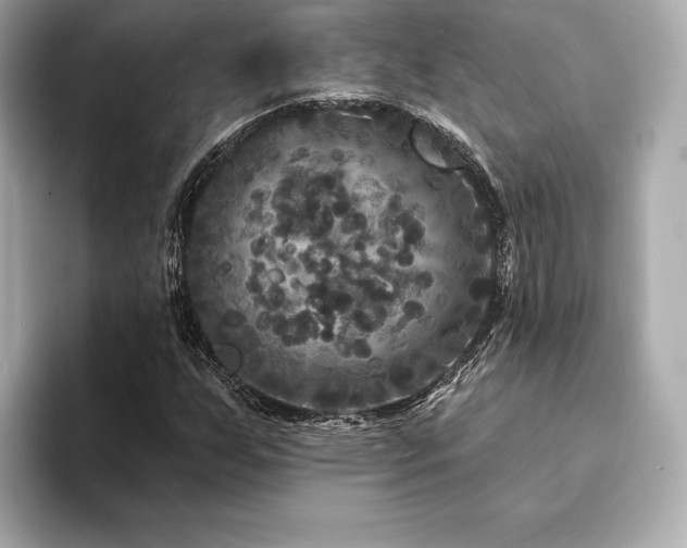 X0000094191255200710261124