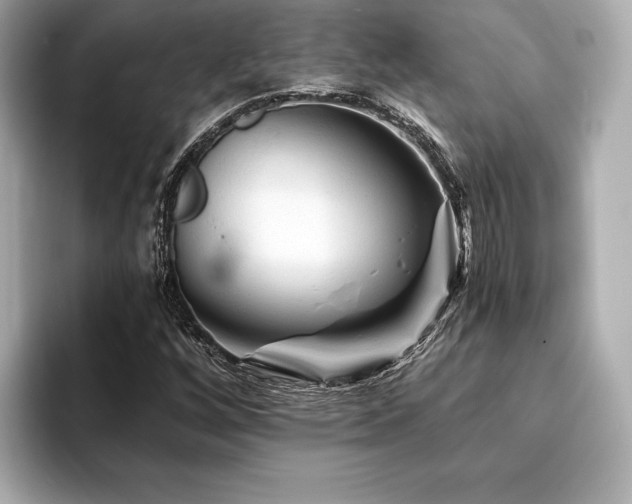 X0000094191256200710261124