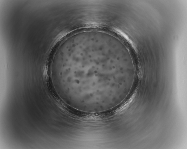 X0000094191259200710261124