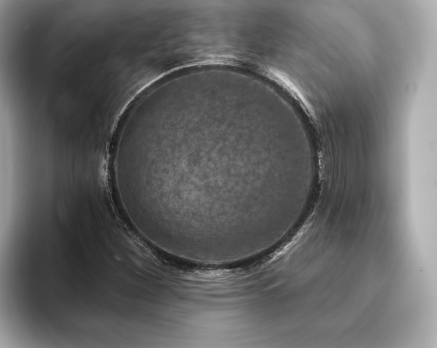 X0000094191260200710261124