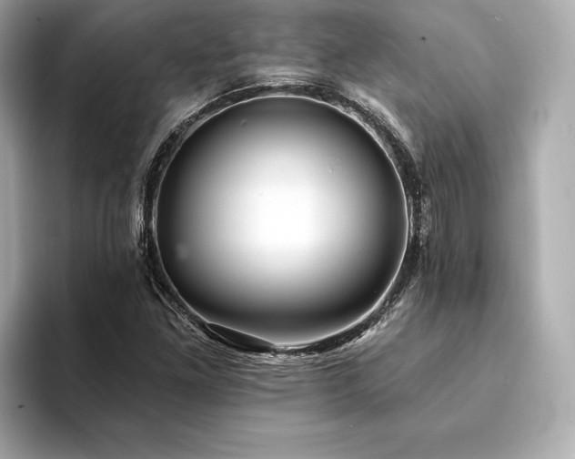 X0000094191261200710261124