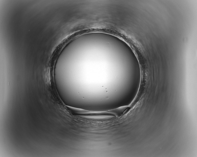 X0000094191262200710261124