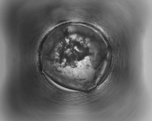 X0000094191263200710261124