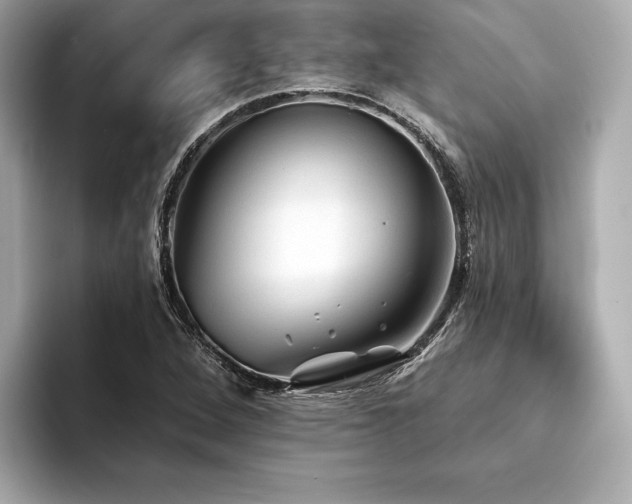 X0000094191264200710261124