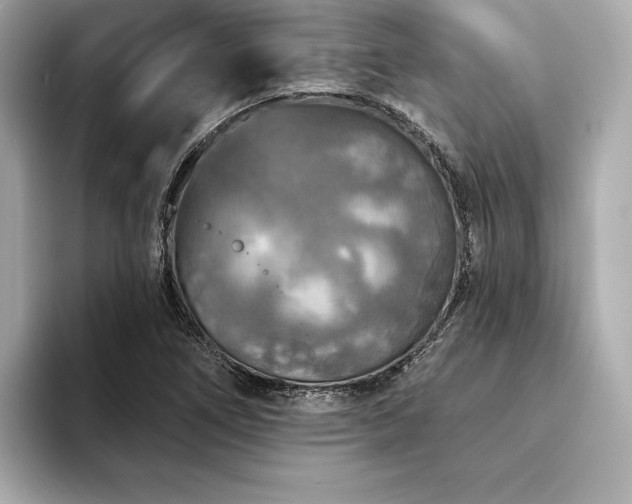 X0000094191266200710261124