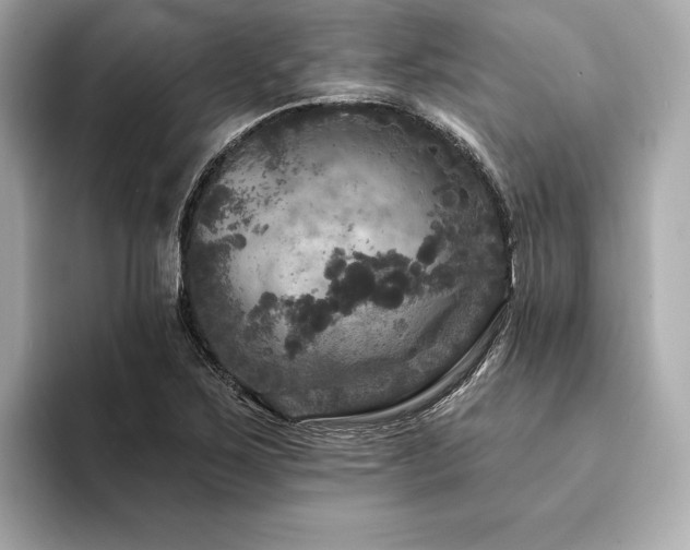 X0000094191267200710261124