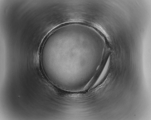 X0000094191268200710261124