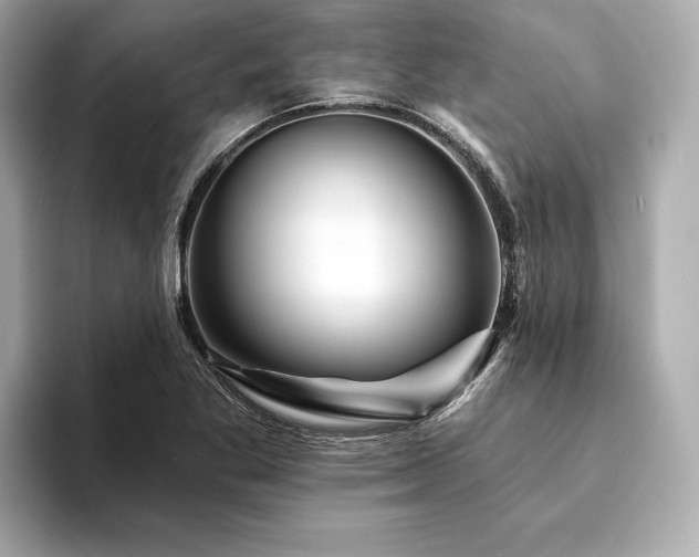 X0000094191269200710261124