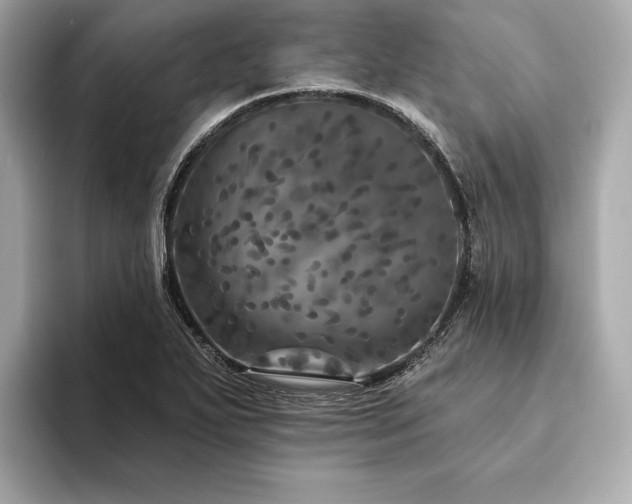 X0000094191271200710261124