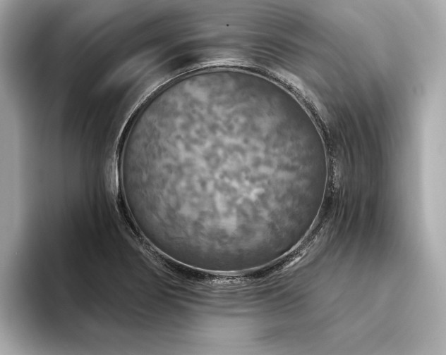 X0000094191274200710261124