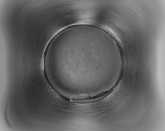 X0000094191276200710261124