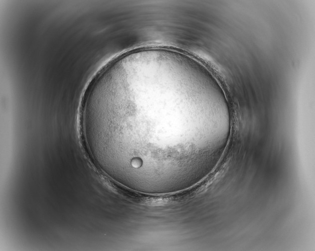 X0000094191278200710261124