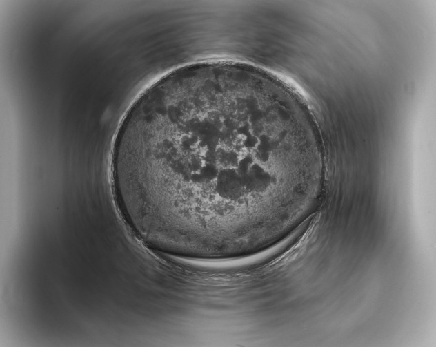 X0000094191279200710261124