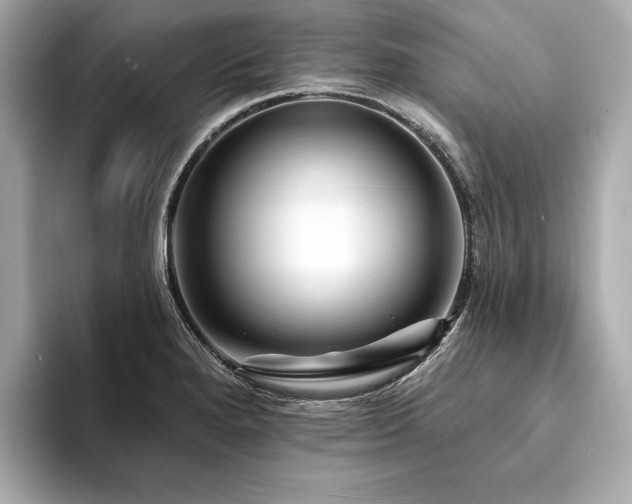 X0000094191280200710261124