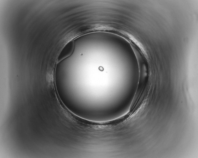 X0000094191281200710261124