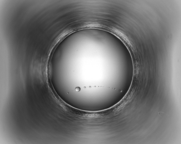 X0000094191282200710261124