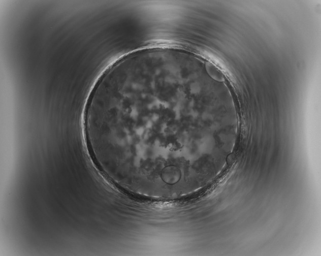 X0000094191283200710261124