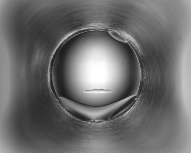 X0000094191288200710261124