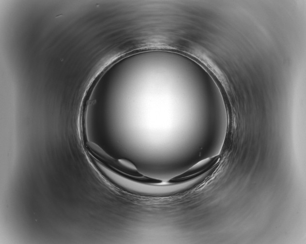 X0000094191293200710261124