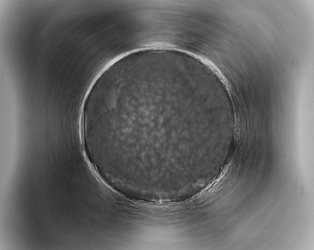 X0000094191295200710261124
