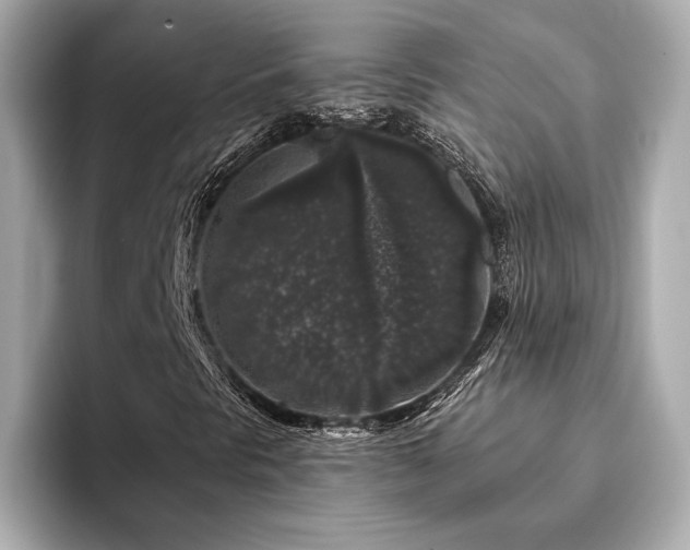 X0000094191297200710261123