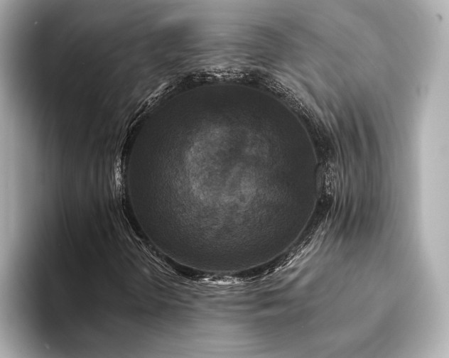 X0000094191298200710261123