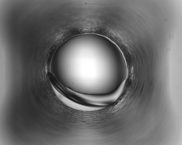 X0000094191300200710261123