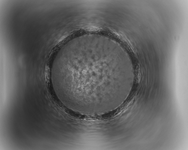 X0000094191301200710261123