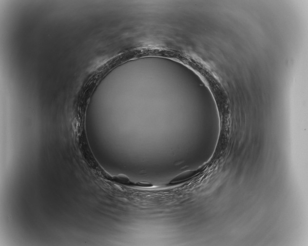 X0000094191303200710261123